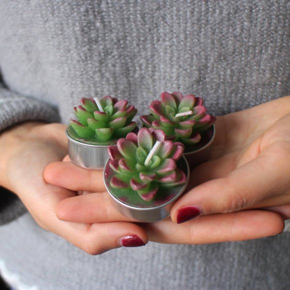 Flying Tiger Other - Flying Tiger - Succulent Tea Light Candles
